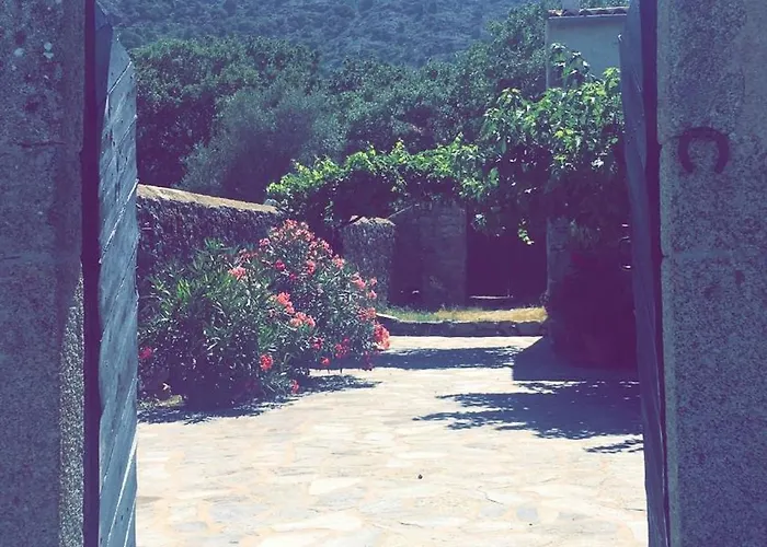 Bergerie Saint Michel Cateri